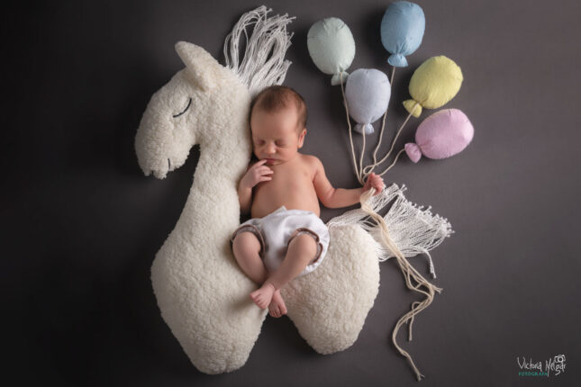 Reportajes de fotografía de recién nacido en valladolid newborn