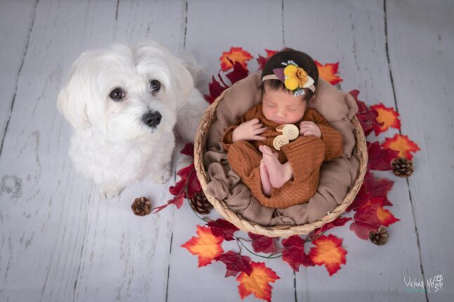 Fotografía de recien nacido en valladolid newborn