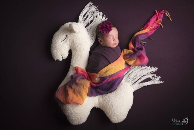 Reportajes de Fotografía de recien nacido en valladolid newborn