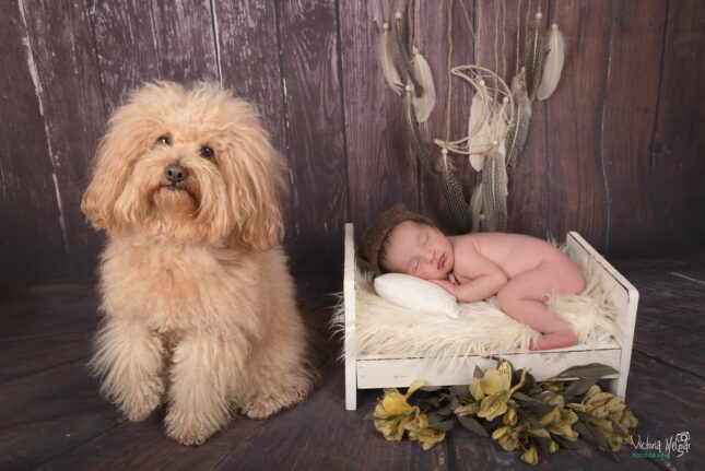 Reportajes de Fotografía de recien nacido en valladolid newborn