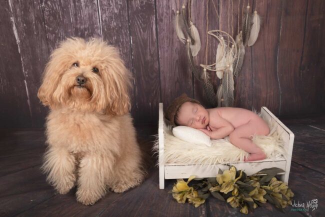 Reportajes de Fotografía de recien nacido en valladolid newborn