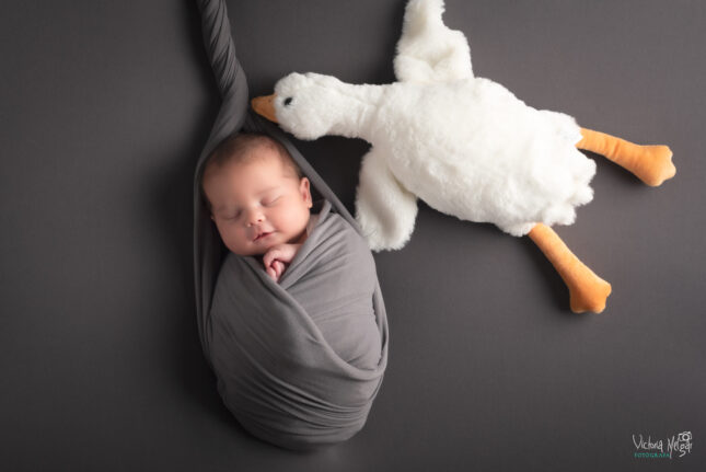 Reportajes de Fotografía de recien nacido en valladolid newborn