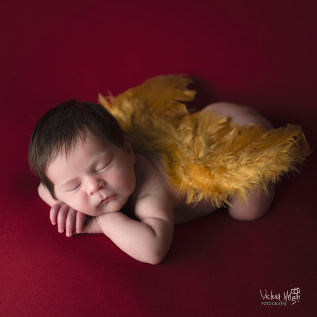 Fotografía de recién nacido en Valladolid Reportajes de Fotografía de recien nacido en valladolid newborn