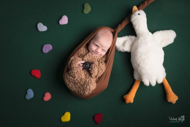 Fotografía de recién nacido en Valladolid Reportajes de Fotografía de recien nacido en valladolid newborn