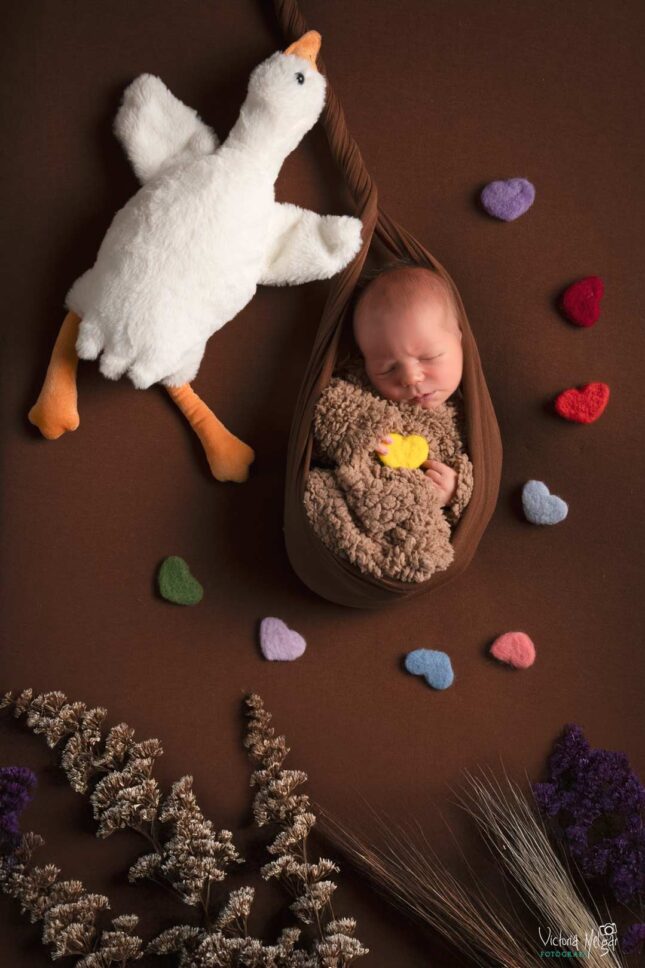 Fotografía de recién nacido en Valladolid Reportajes de Fotografía de recien nacido en valladolid newborn